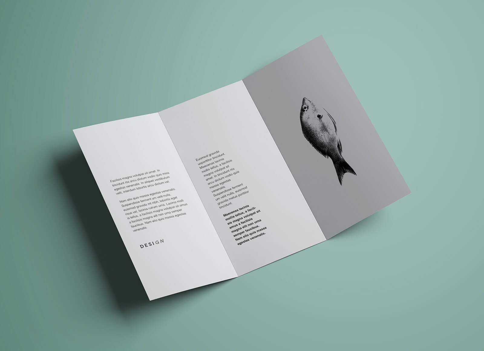 Free Premium Tri Fold Brochure Mockup Psd – Good Mockups Throughout Brochure Psd Template 3 Fold