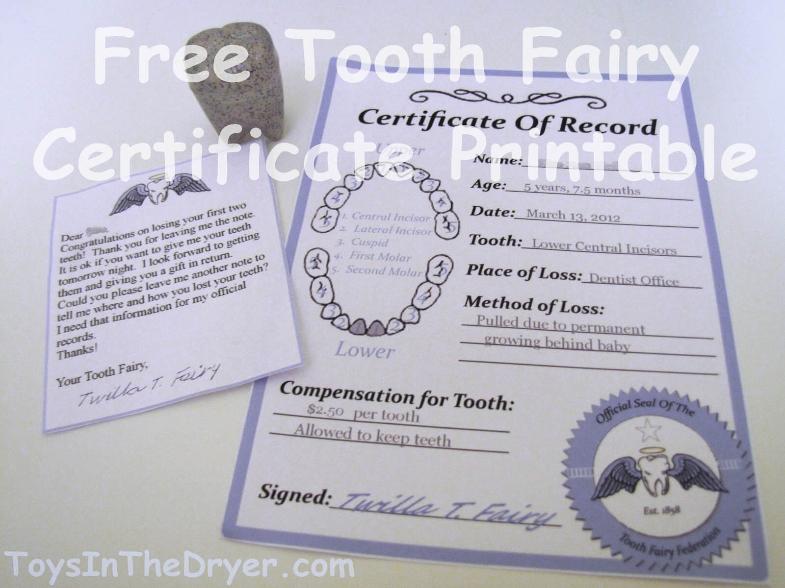 Free Tooth Fairy Certificate Pertaining To Tooth Fairy Certificate Template Free