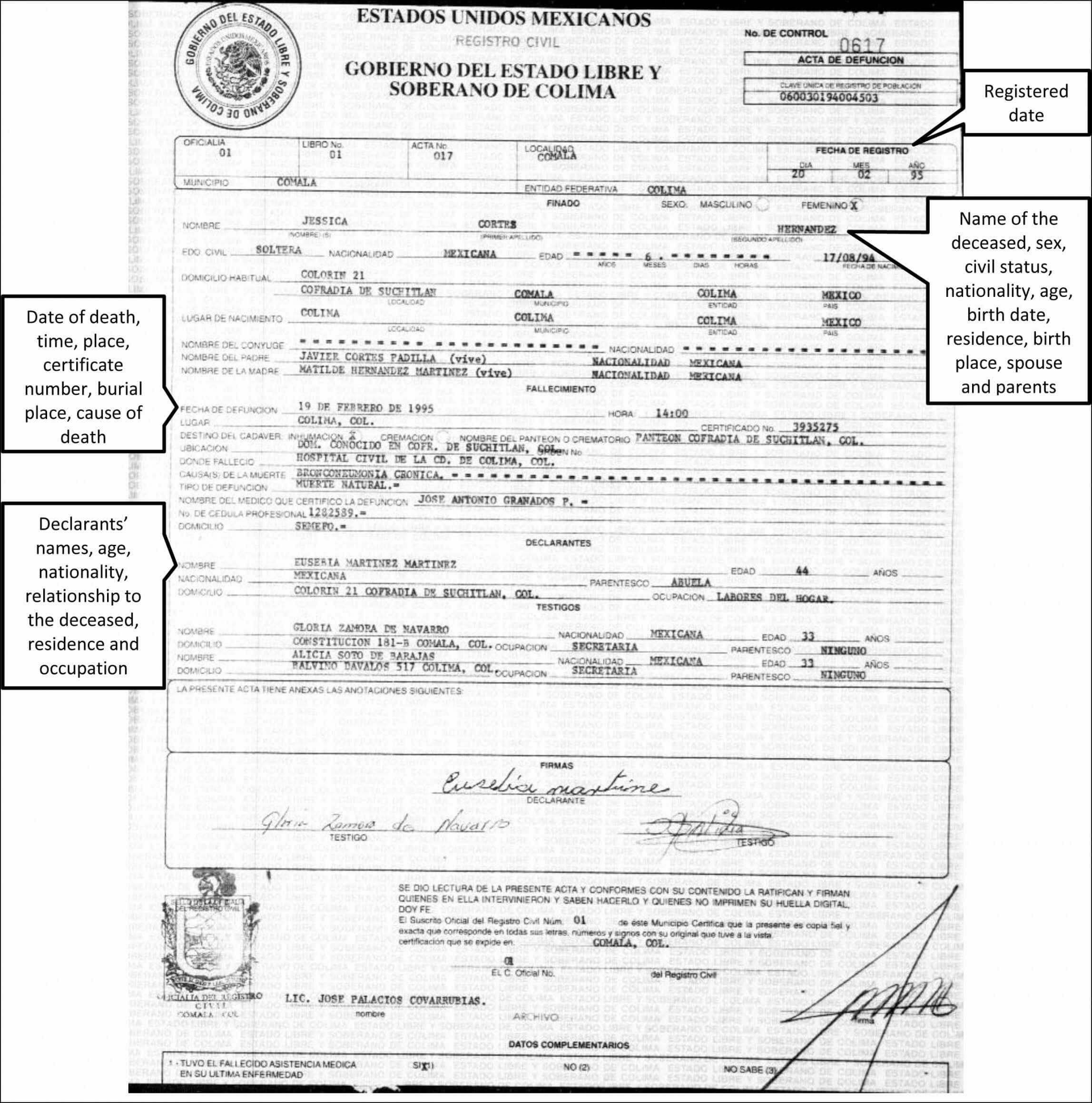 Free Translation Of Divorce Certificate Template Beautiful For Mexican Birth Certificate Translation Template