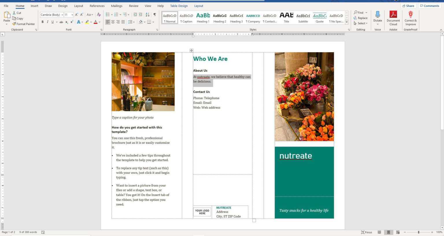 Microsoft Word Pamphlet Template Professional Template