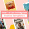 How To Use Instagram Stories Templates For Your Brand (+10 For Free Bio Template Fill In Blank