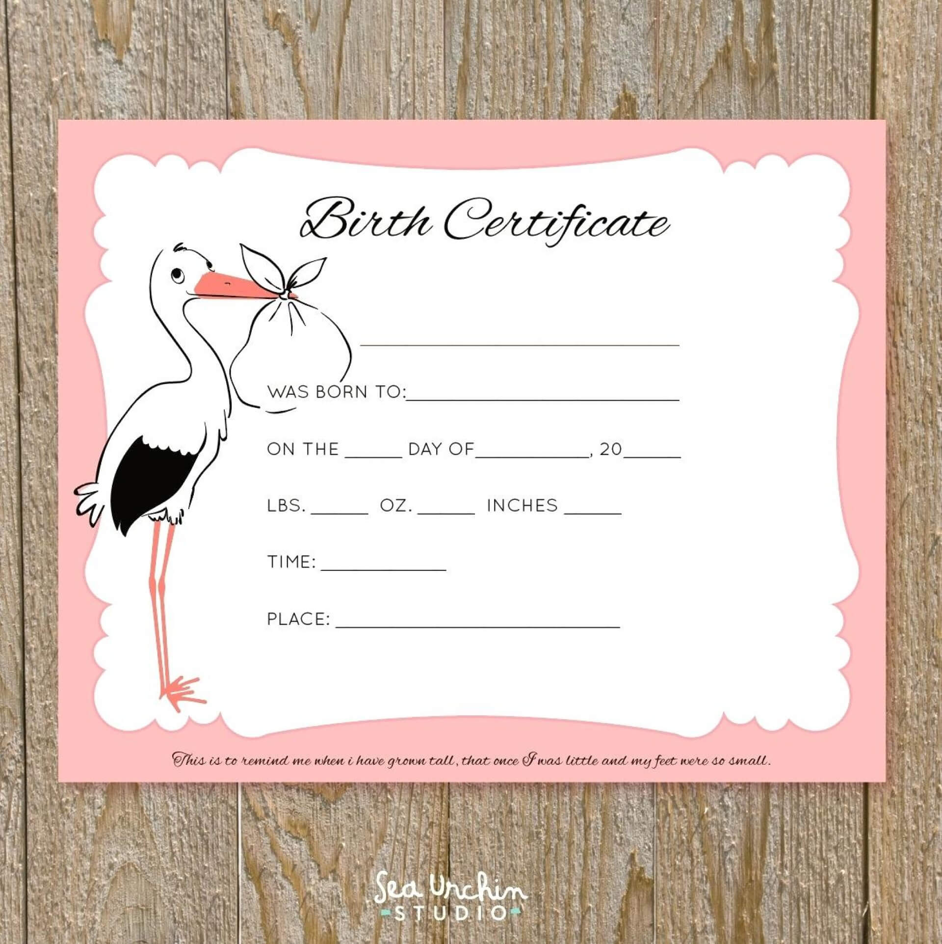 Impressive Free Birth Certificate Template Ideas Puppy Throughout Baby Doll Birth Certificate Template
