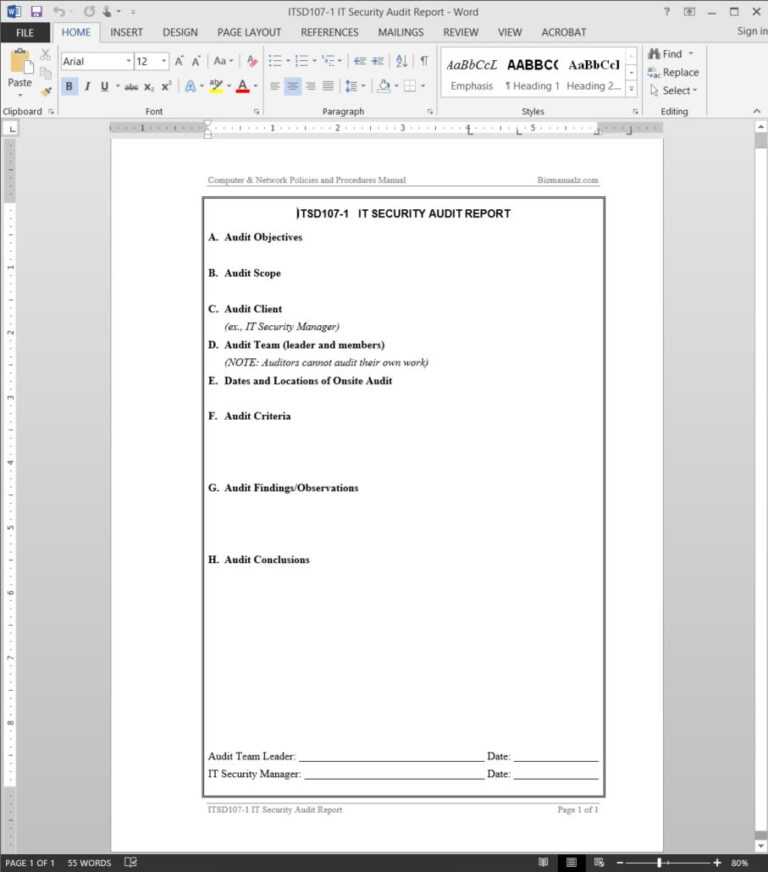 Security Audit Report Template - Professional Template