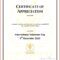Minister License Certificate Template – Carlynstudio Regarding Certificate Of License Template