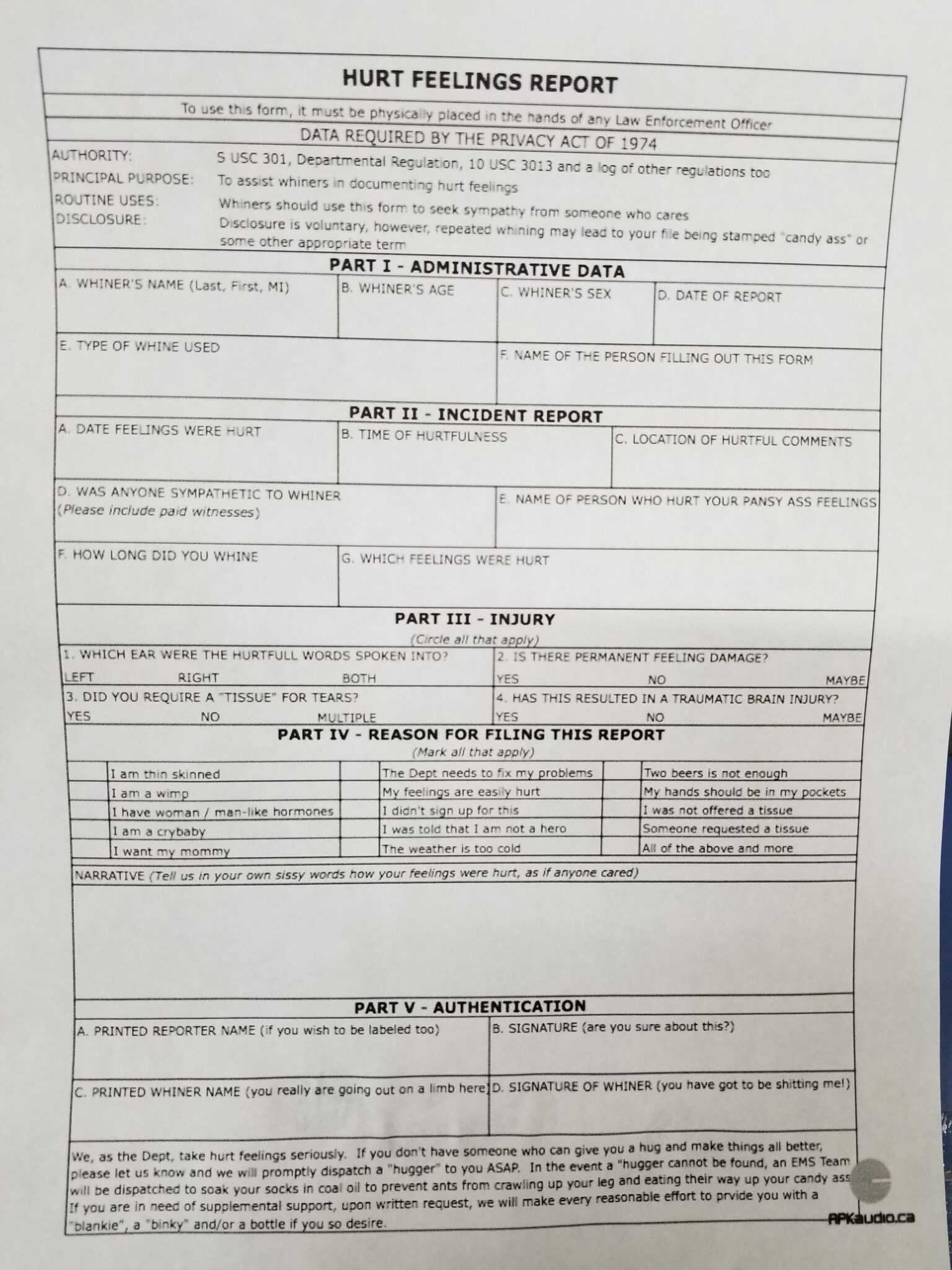 Hurt Feelings Report Template