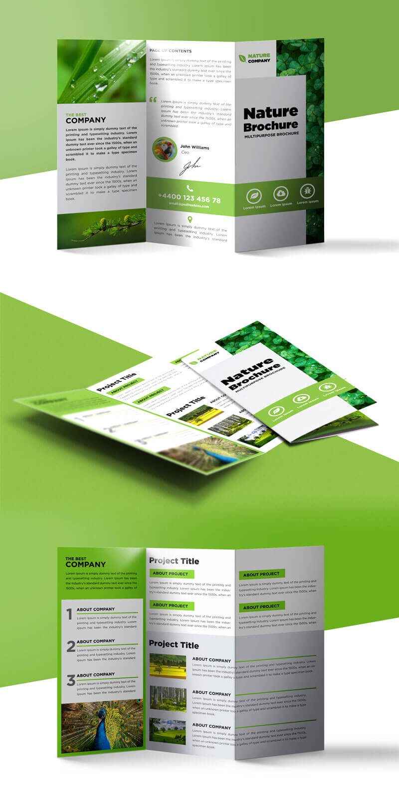 Nature Tri Fold Brochure Template Free Psd | Psdfreebies With Regard To 3 Fold Brochure Template Free