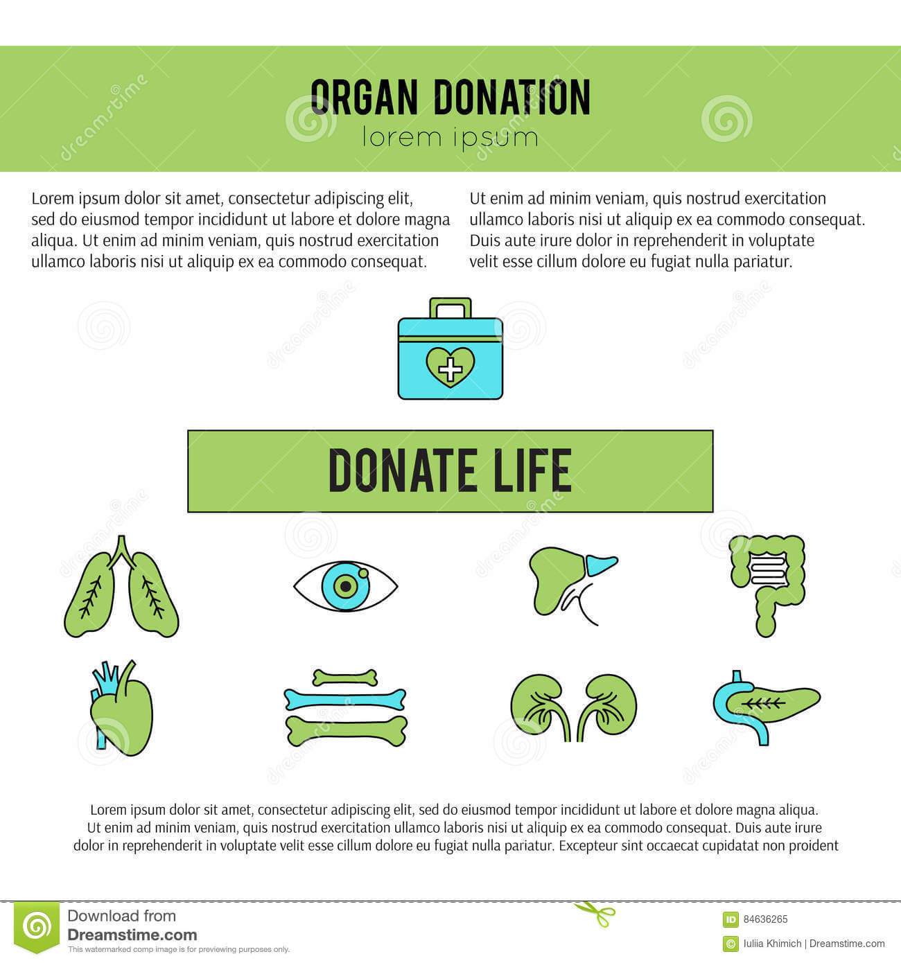Organ Donation Template Stock Vector. Illustration Of Within Organ Donor Card Template