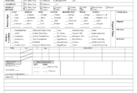 Patient Care Report Template Doc - Fill Online, Printable regarding Patient Care Report Template