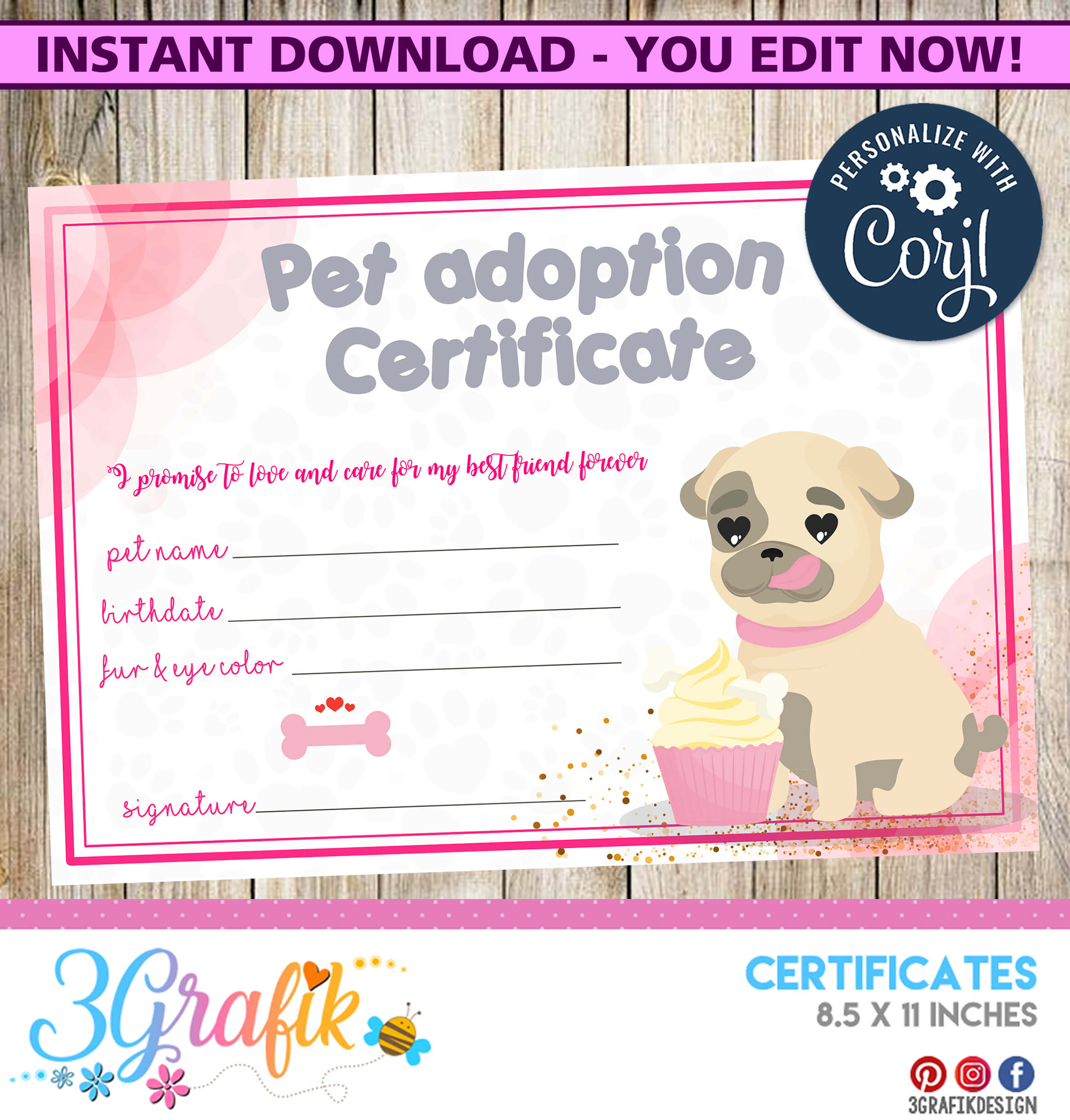 Pet Adoption – Certificate – Printable Regarding Pet Adoption Certificate Template