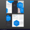 Pharmaceutical Brochure Tri Fold Template Layout Within Pharmacy Brochure Template Free