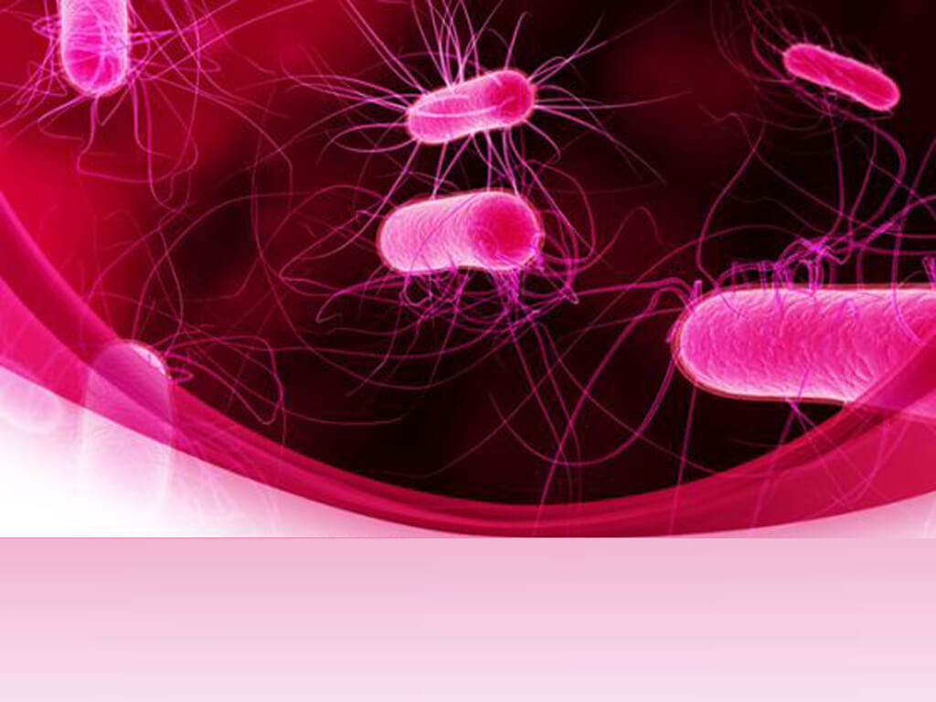 Powerpoint Bacteria Templates For Powerpoint Presentations Intended For Virus Powerpoint Template Free Download
