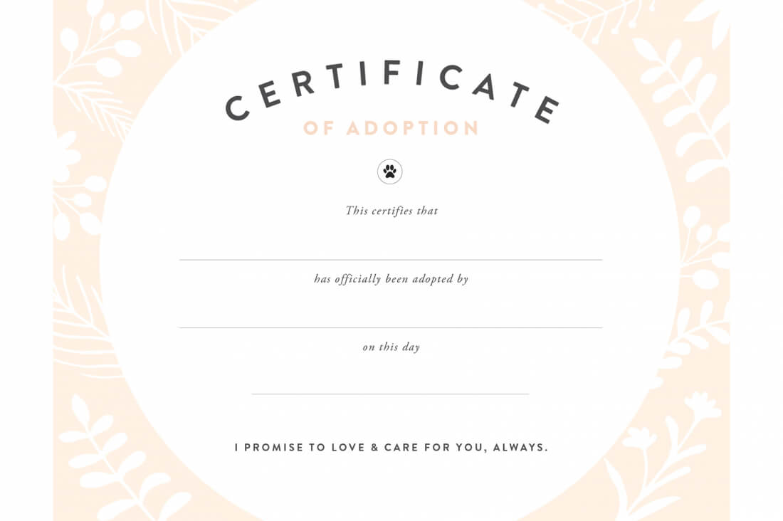 Pretty Fluffy Pertaining To Love Certificate Templates