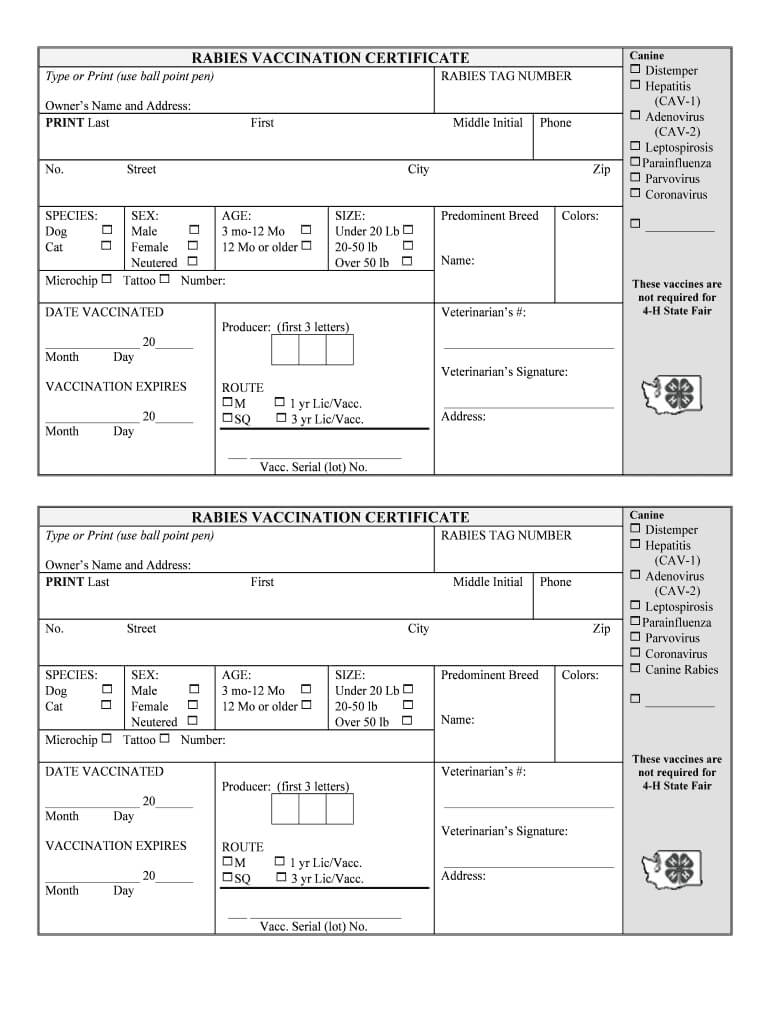 Rabies Certificate Template - Fill Online, Printable Intended For Rabies Vaccine Certificate Template