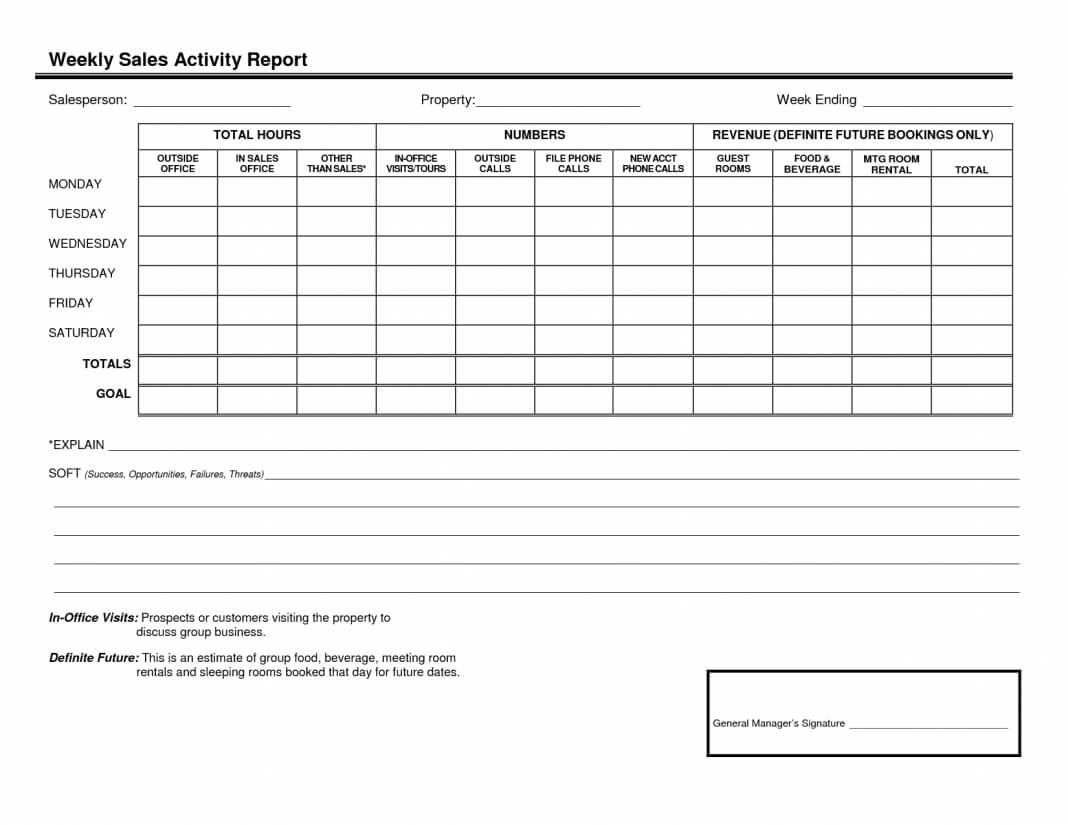 Report Examples Weekly Sales All Word Format Enter Template Within Sales Call Report Template