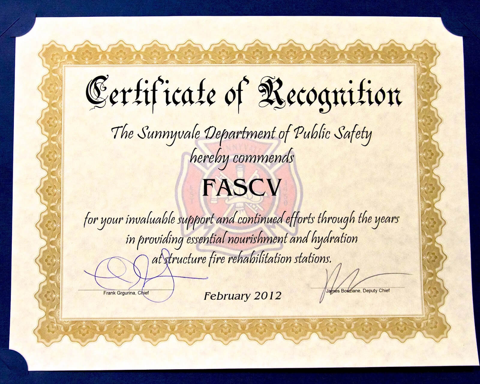Safety Recognition Certificate Template ] – Employee Throughout Safety Recognition Certificate Template