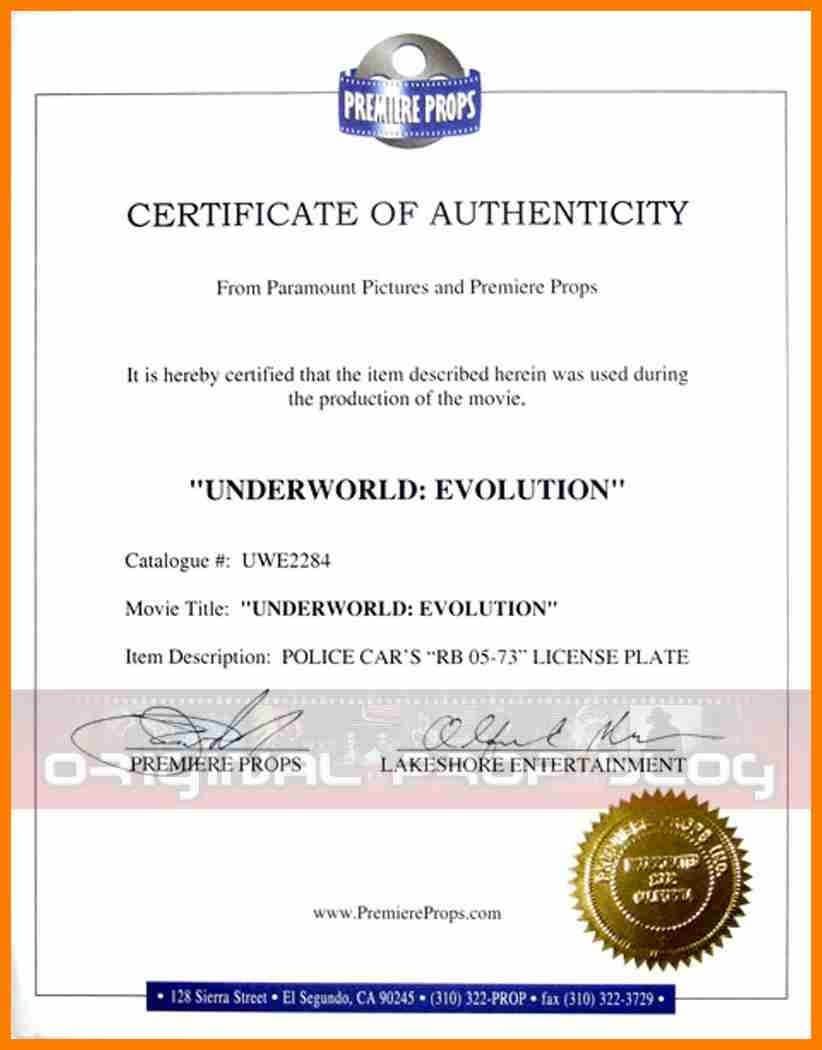 Sales Agent Authorization Certificate Word Template In Certificate Of Authorization Template