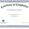 Sample Of Certificates Of Completion – Zohre Within Vbs Certificate Template