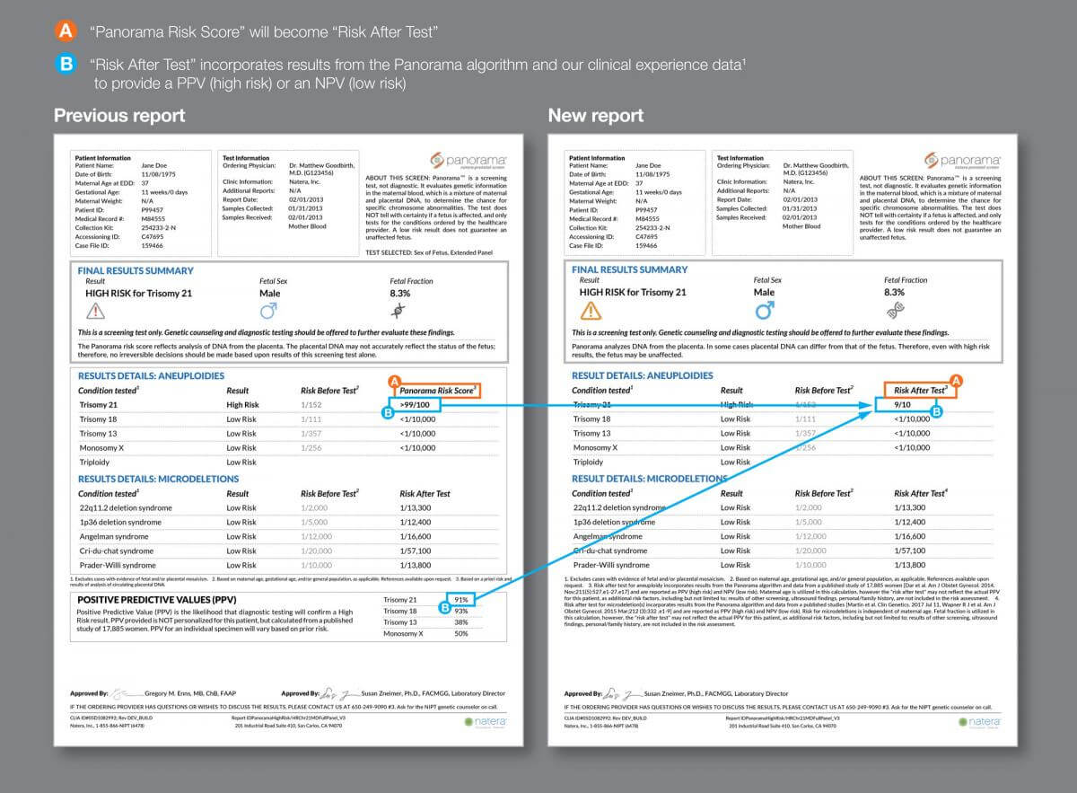 Sample Report Examples For Panorama In Test Result Report Template