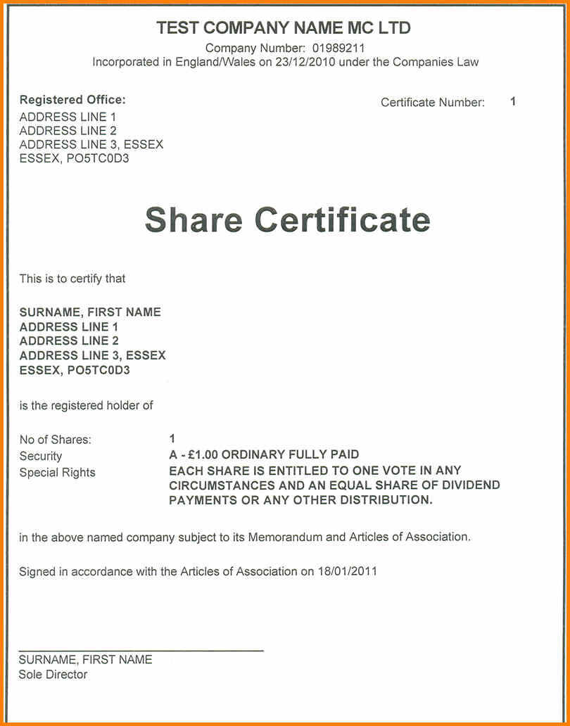 Shareholder Certificate Sample – Yatay.horizonconsulting.co Pertaining To Share Certificate Template Companies House