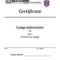 Soccer Certificate – Bolan.horizonconsulting.co In Soccer Certificate Templates For Word