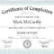 Template Certificate Of Authenticity ] – 45 Fee Printable With Regard To Leadership Award Certificate Template