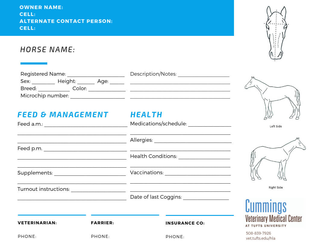 Travel Confidently – News Center At Cummings School Of With Regard To Horse Stall Card Template