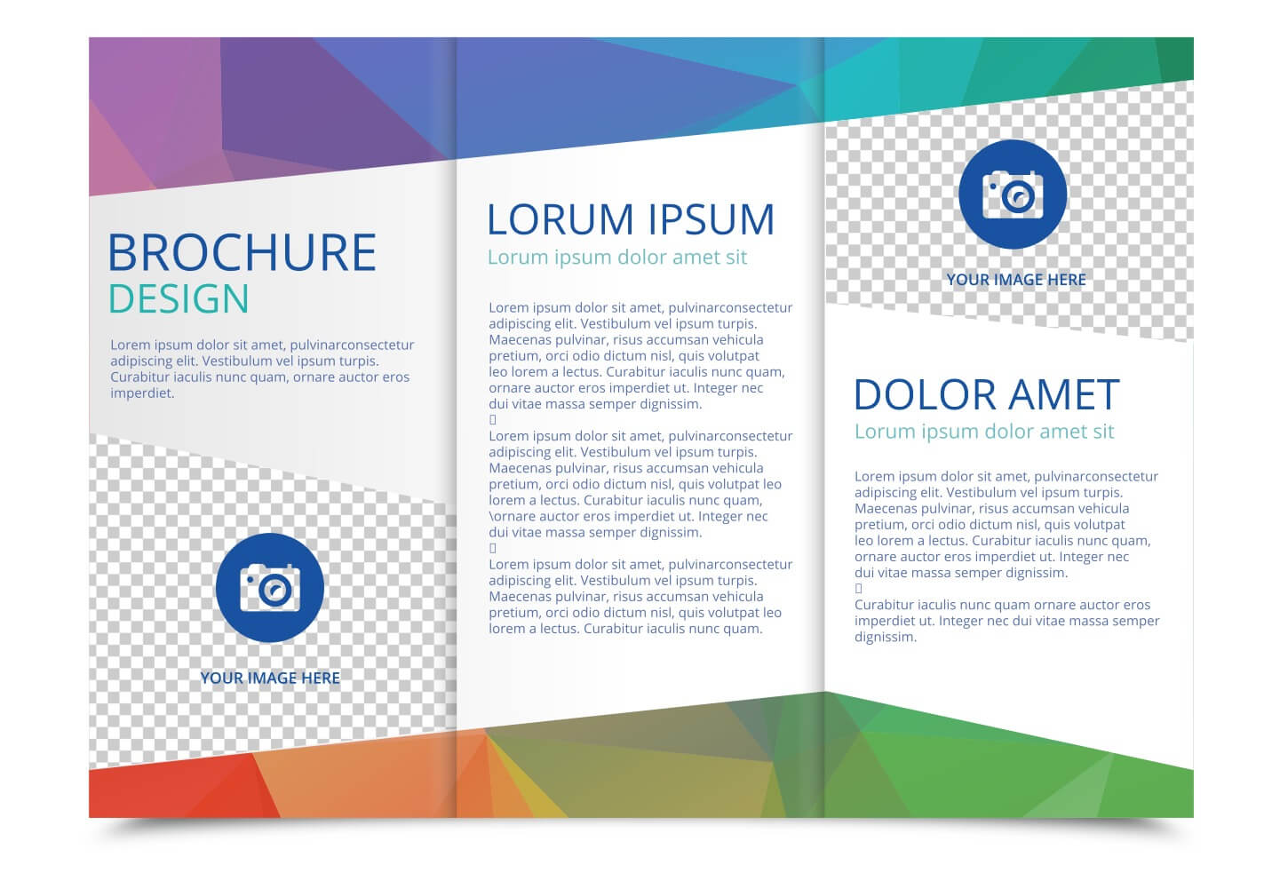 Tri Fold Brochure Vector Template – Download Free Vectors In 3 Fold Brochure Template Free