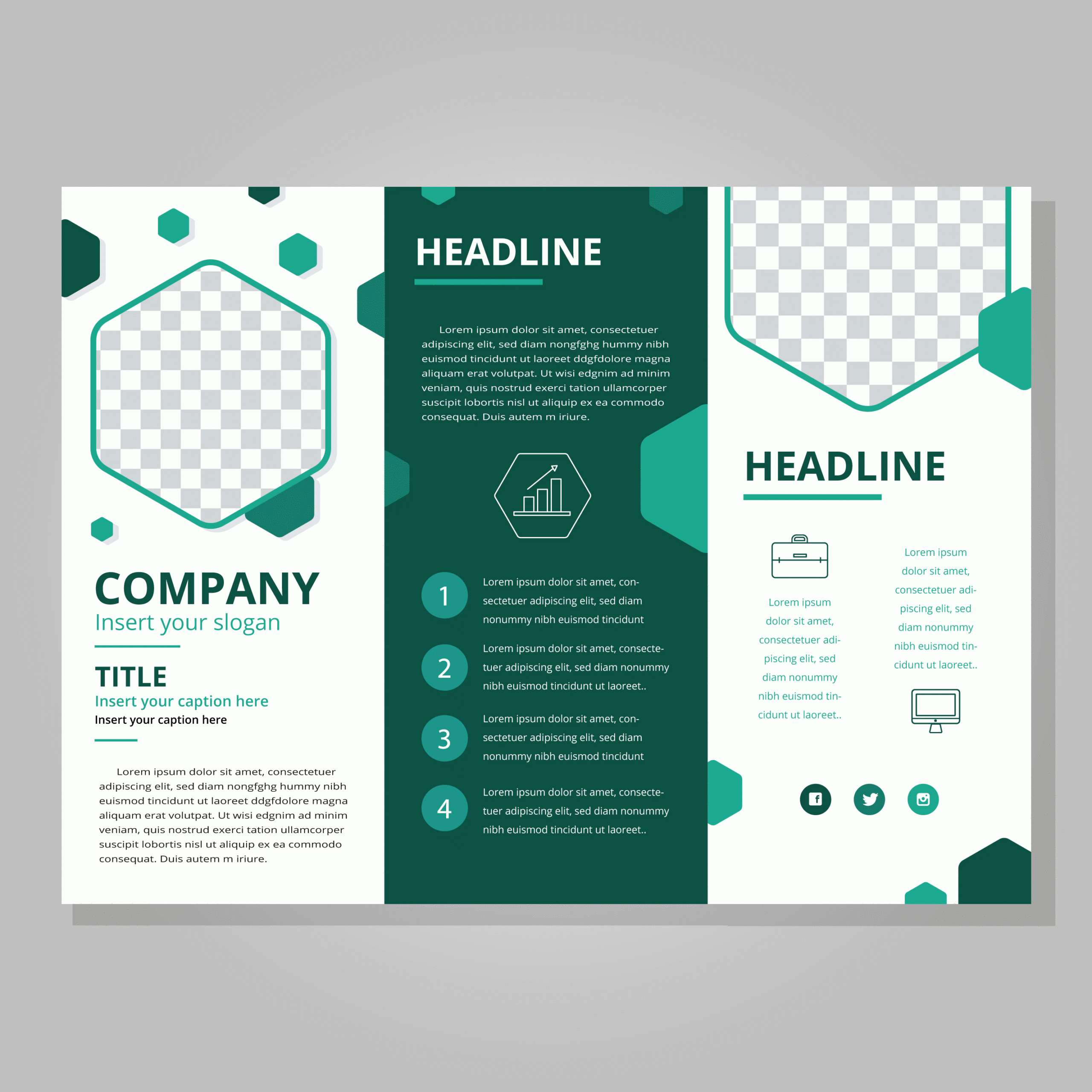 Tri Fold Folder Template - Bolan.horizonconsulting.co For Three Panel Brochure Template