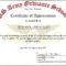 Us Army Certificate Of Achievement Template Within Army Certificate Of Appreciation Template