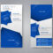 Vector Flyer And Leaflet Design. Set Of Two Side Brochure Templates With Regard To Ngo Brochure Templates