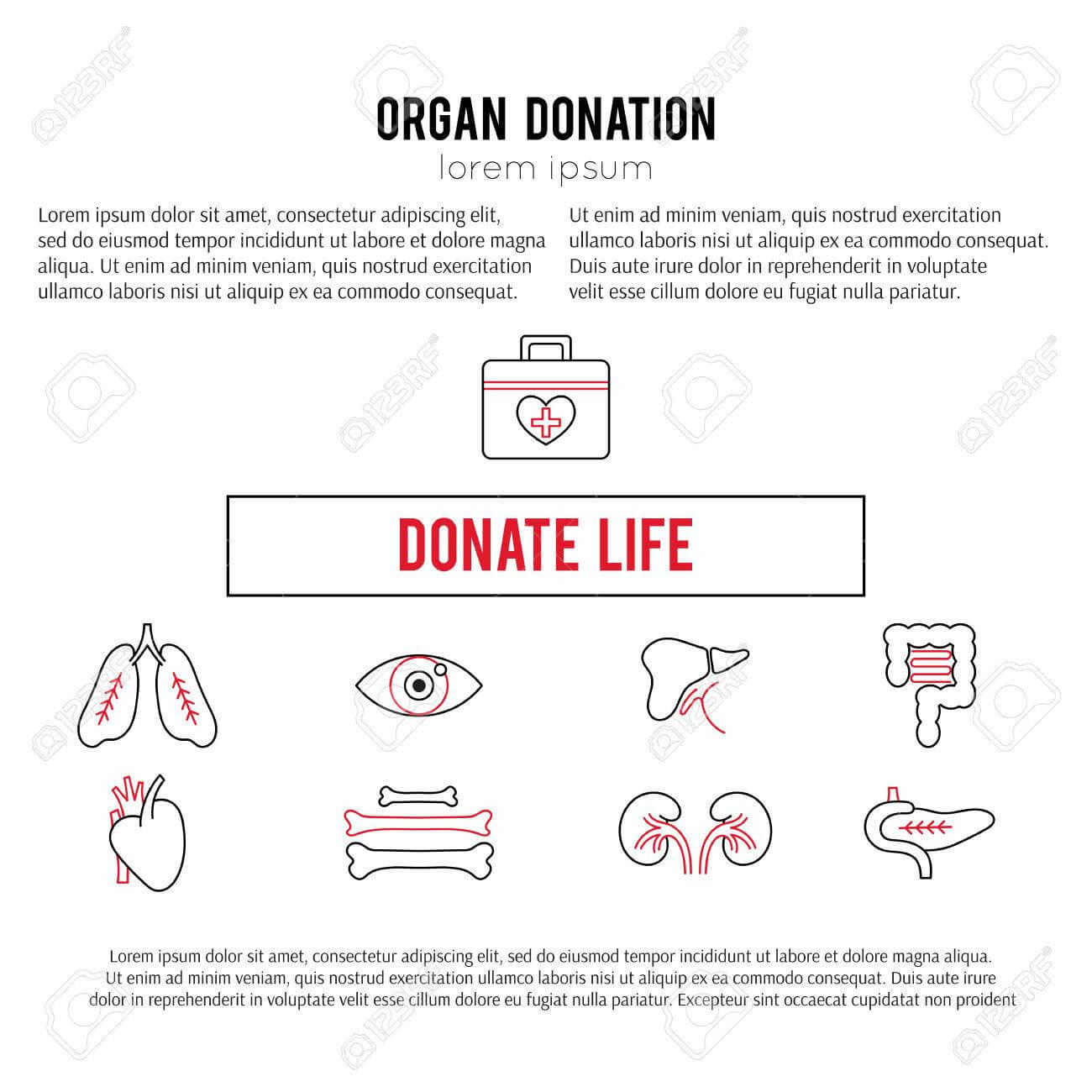 Vector Square Banner Template. Organ Donation Thin Line Icons Inside Organ Donor Card Template