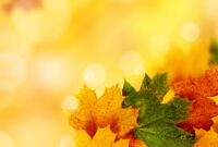 Yellow Autumn Backgrounds For Powerpoint - Nature Ppt Templates throughout Free Fall Powerpoint Templates
