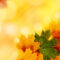 Yellow Autumn Backgrounds For Powerpoint – Nature Ppt Templates Throughout Free Fall Powerpoint Templates