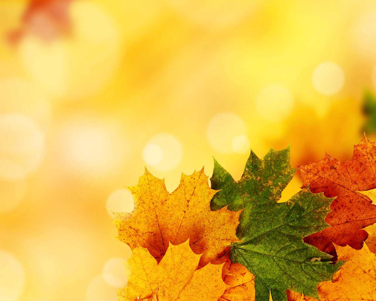 Yellow Autumn Backgrounds For Powerpoint – Nature Ppt Templates Throughout Free Fall Powerpoint Templates